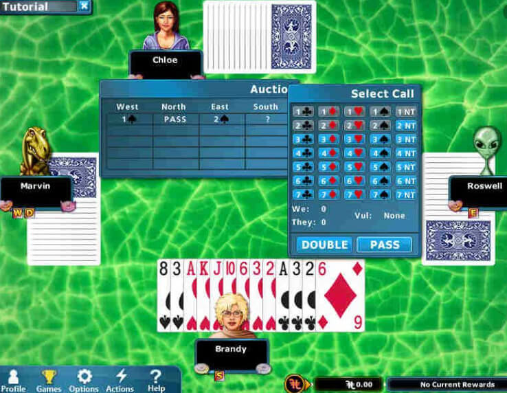 Hoyle Card Games For Mac Download